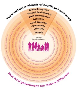 A model explaining the social determinants of health.