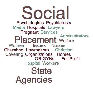 Adoption Industrial Complex Word Cloud